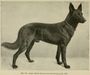 Roland von Starkenburg pfhoto, normal quality