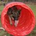 Theo running through tunnel