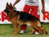 ATHOS CAMPEON RANKING DE ECUADOR 2009