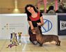 Jumper Nitra 2015. Viktory Show 2× CACIB