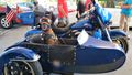 BeBe in her Custom Sidecar