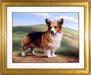 Painting done from photo take in NY while attending Westminster