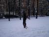 Winter in Moscow