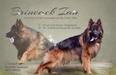 Brineack Ian