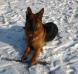 Franco in the Snow at 20 months old