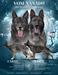 Litter Announcement March 2023