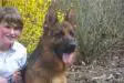 dereck 