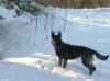 Year old in the snow