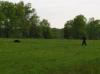 Tracking