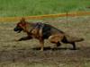 22 05 2010 Zagreb in GSD Show