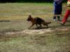 22 05 2010 Zagreb in GSD Show