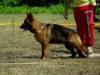 22 05 2010 Zagreb in GSD Show
