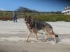 beach walk