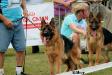 Etoo SG 1 Belgium Siegershow by judge Helmut König