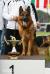 Figo - Best progeny SHZS - HR & SLO , 2010