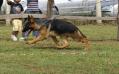 ambra a 7 mesi in movimento