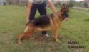 ambra a 19 mesi