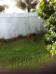 Biene playing in backyard