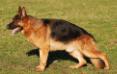 Tino 2 years old
