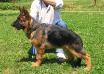 NERO 5 MONTHS OLD