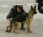 Barina from Puppy to Breeding Female