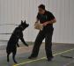 Minka - protection training