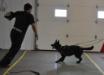 Minka - protection training