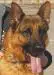 Ringo Demina