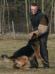 Maximus attack 7