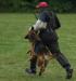 Schutzhund 2 (SG)- 2010 Alaska Schutzhund Club