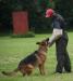 Schutzhund 2 (SG)- 2010 Alaska Schutzhund Club