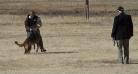 Sch 3 (SG) (V-Obedience) - High Plains Schutzhund