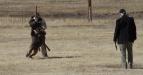 Sch 3 (SG) (V-Obedience) - High Plains Schutzhund