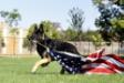 flag 2