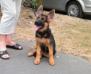 Enja 3 months