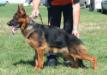 CHIPSI @ 10 MONTH OLD
