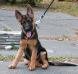 Enja 3,5 months-3