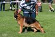 Croatia BSZS 2011 Cay Dogshof SG 5