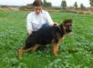 New pics of ILBO with 3 months..(01/11/2011)
