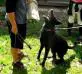 Bark & Hold
