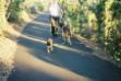 Aiko walking his dad at the Grand Canyon