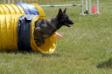 2007 AKC Agility Trial 