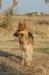Pictures of Kira