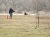 The Fetch - dirven in directline back to handler!