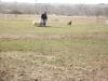 Drive/Fetch from YChute to Exit Gate