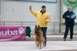 Cay V-2 judge Stiegler 2012