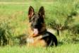 Ema 6 month old
