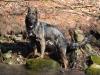Hope at 16 months old