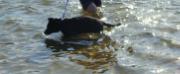 Fun at Lake Heron 2012