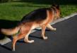 Spring photo gallery